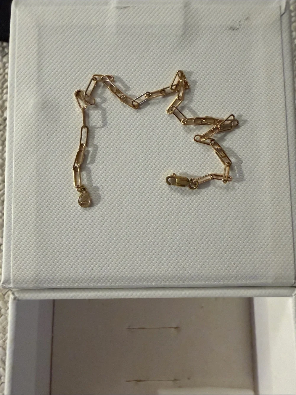 10k gold Mejuri Gold Paperclip Chain Necklace